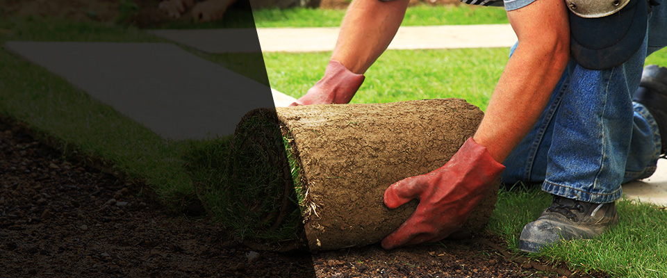 Church Point Landscapers